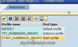 How To Import & Maintain SAP System Profile - SAP Basis Easy