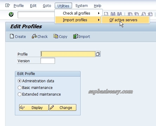 How To Import & Maintain SAP System Profile - SAP Basis Easy