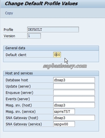 How To Import & Maintain SAP System Profile - SAP Basis Easy